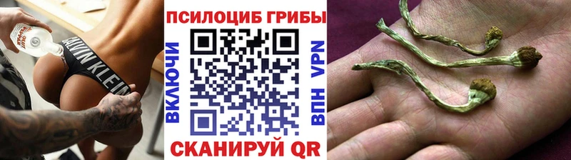 Псилоцибиновые грибы MAGIC MUSHROOMS  дарнет шоп  Дивногорск 