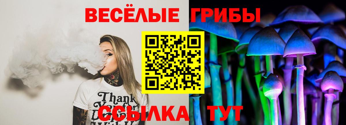 Дивногорск  Галлюциногенные грибы Psilocybe  Галлюциногенные грибы Psilocybine cubensis  Вход с VPN 