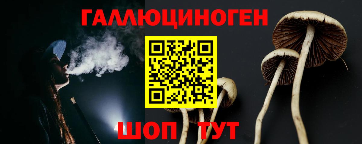 Псилоцибиновые грибы MAGIC MUSHROOMS Дивногорск